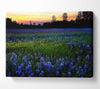 Blue Flowers Canvas Wall Art