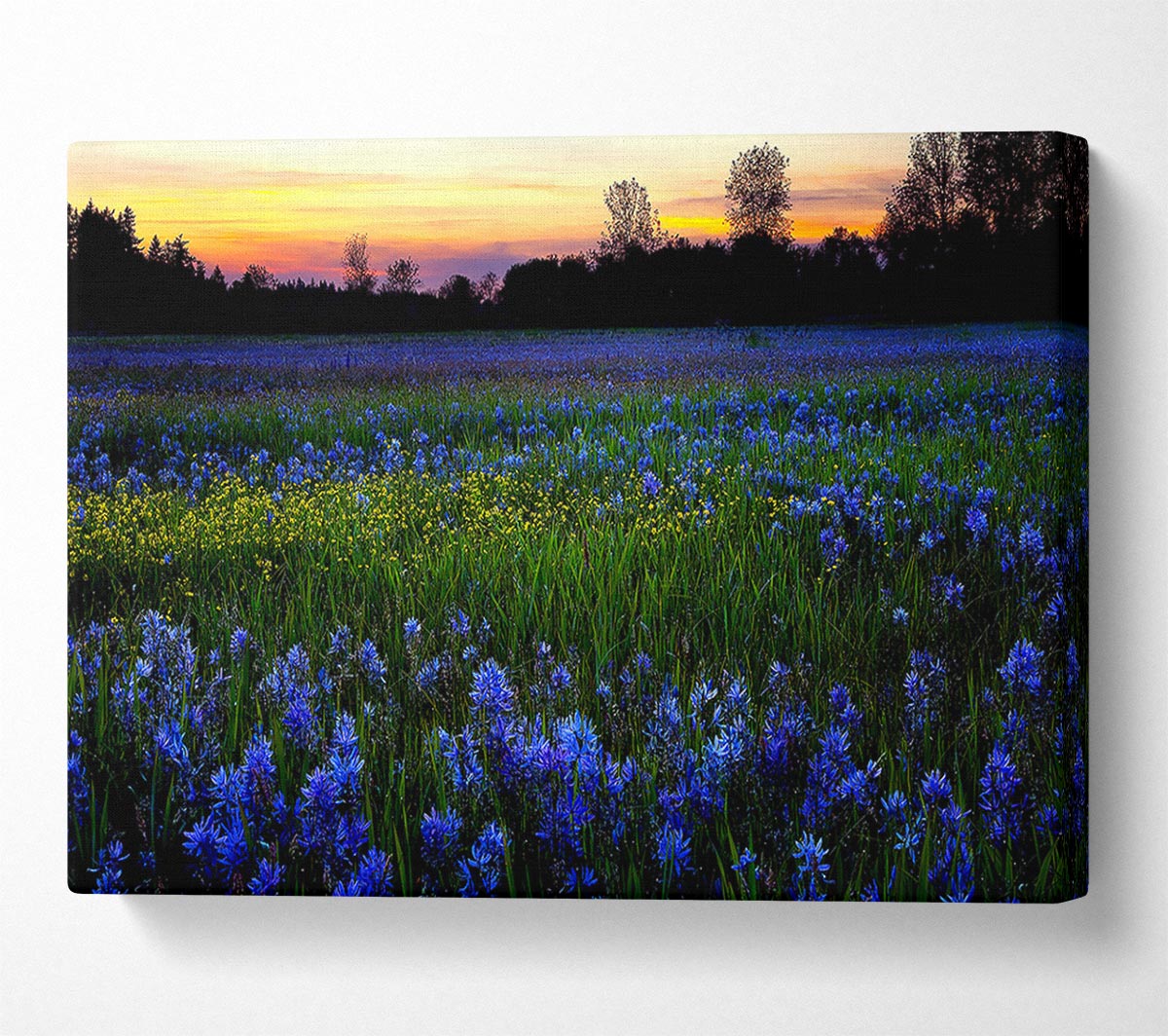 Blue Flowers Canvas Wall Art