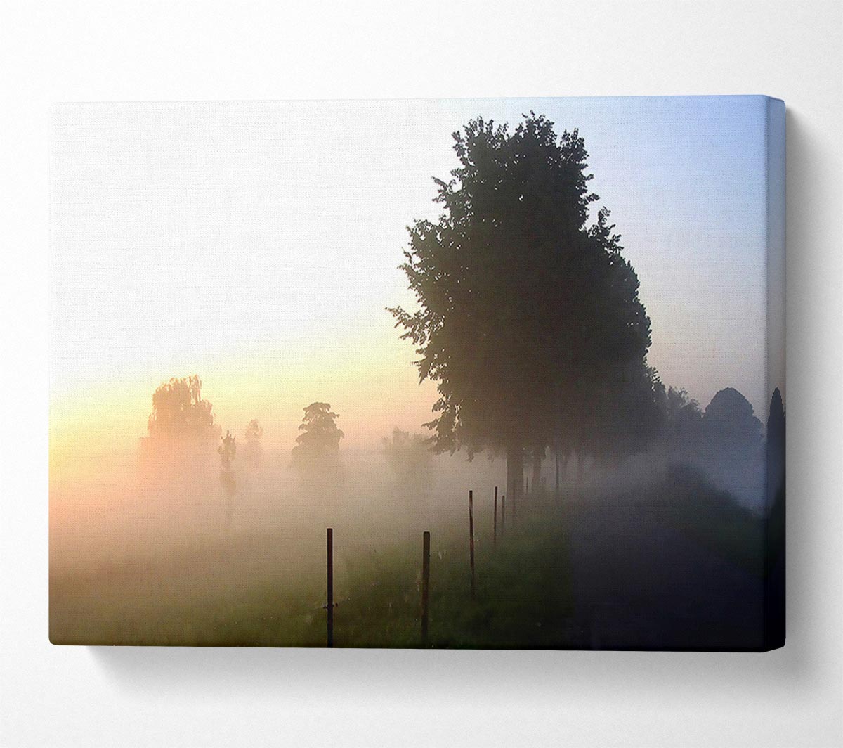 Mist In The English Countryside Canvas Wall Art