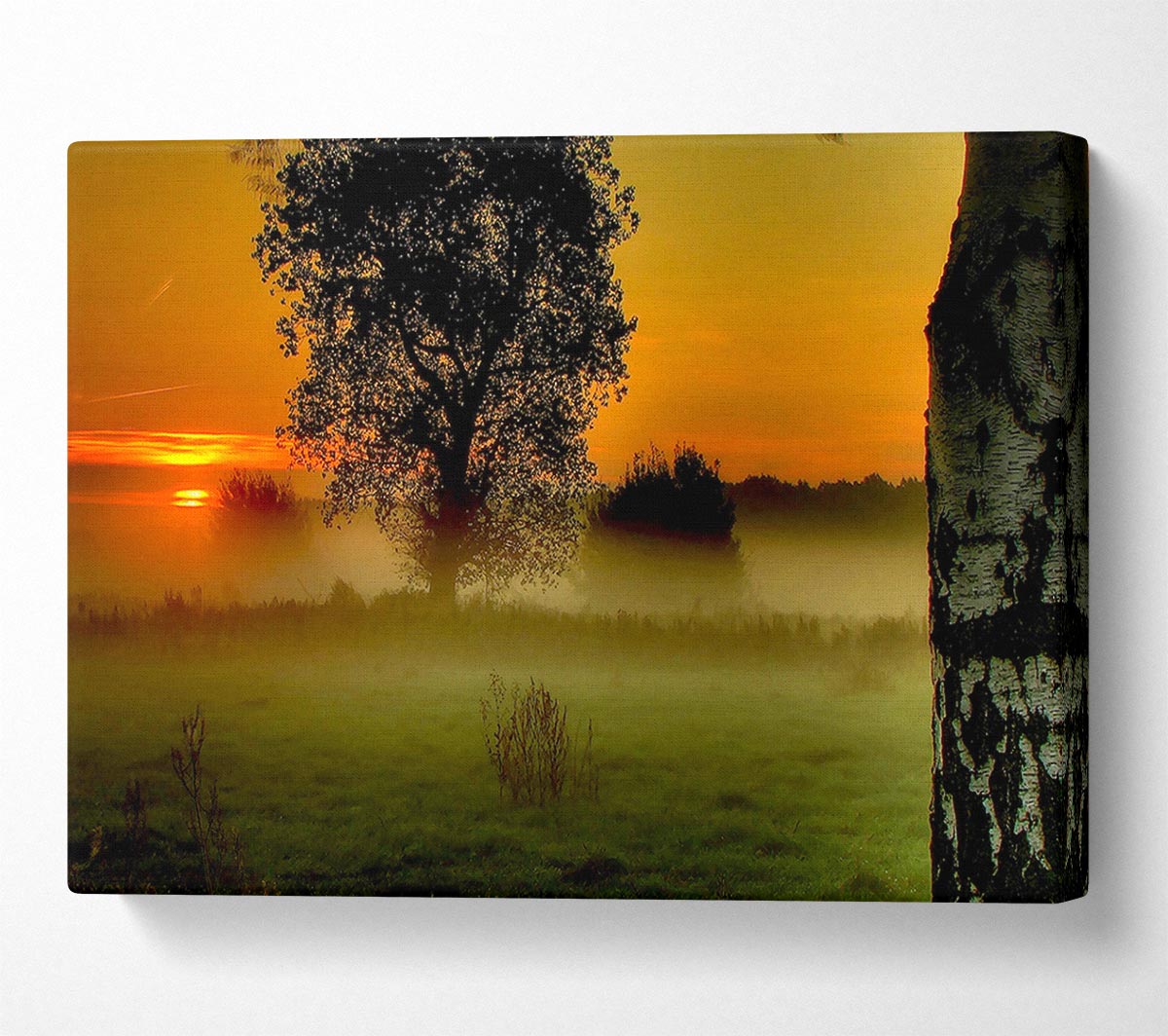 Morning Moment Canvas Wall Art