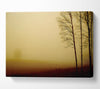 Naked Trees Canvas Wall Art