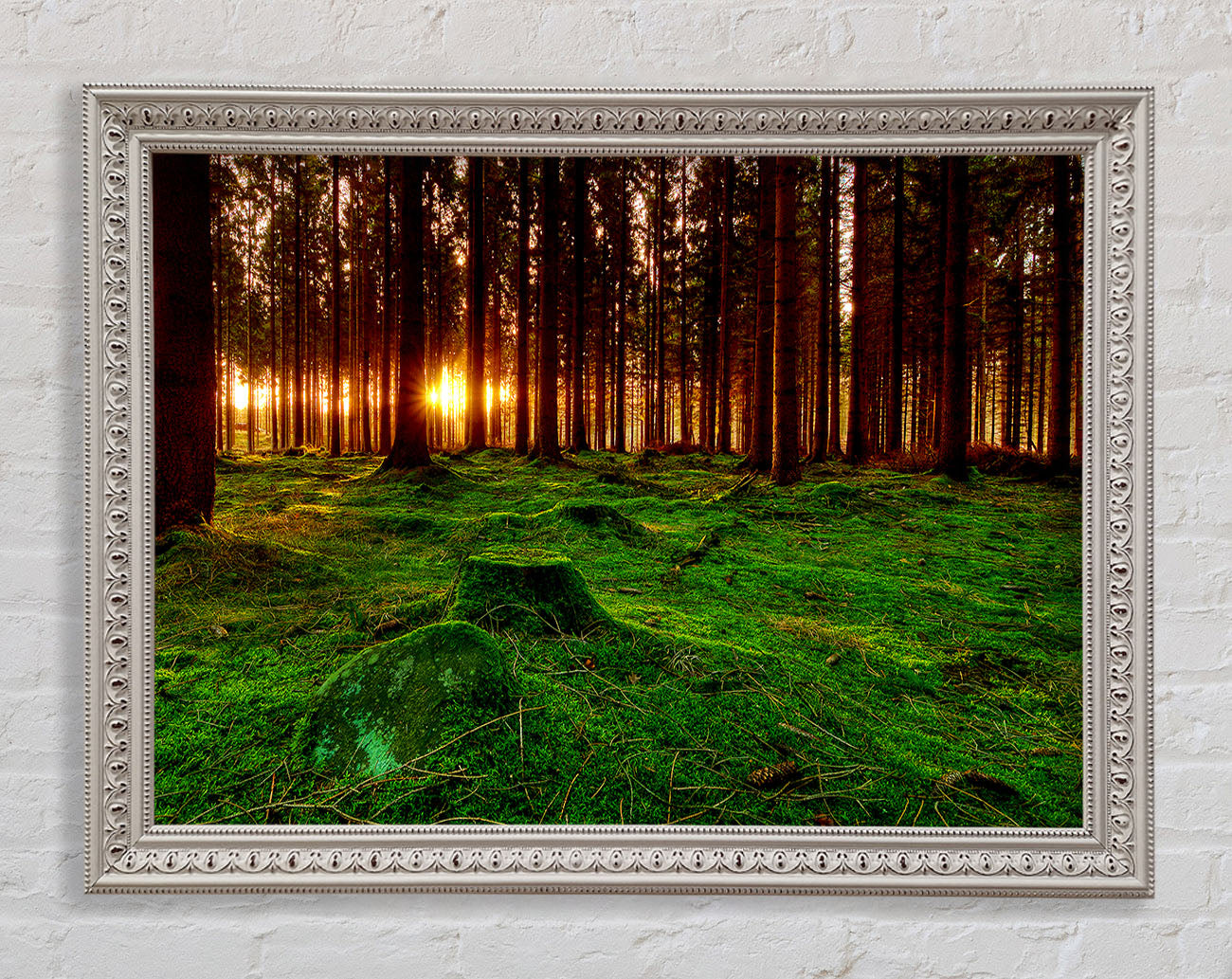 Beyond The Trees Framed Wall Art