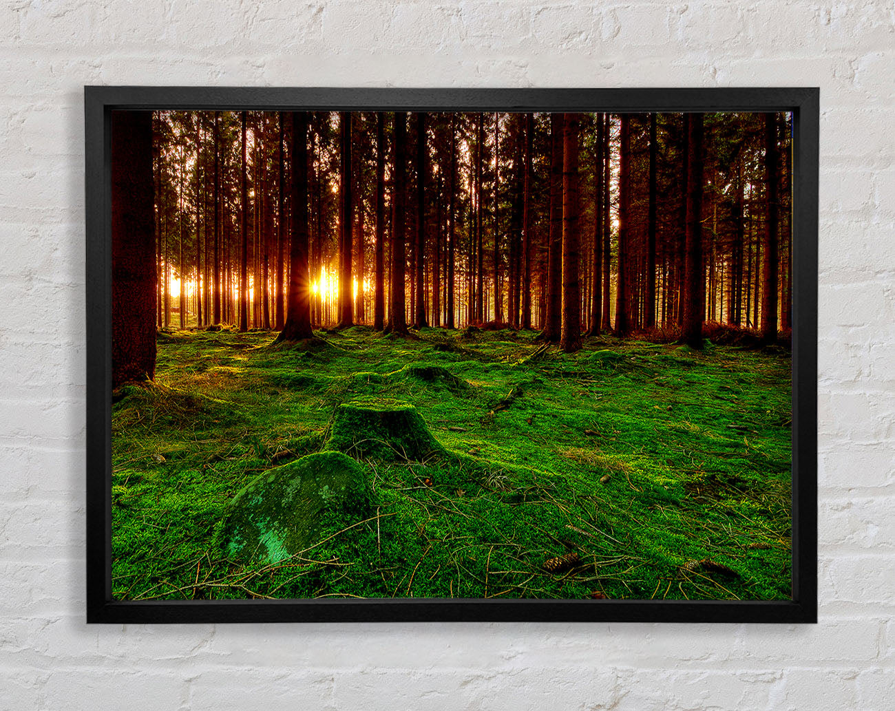 Beyond The Trees Framed Wall Art