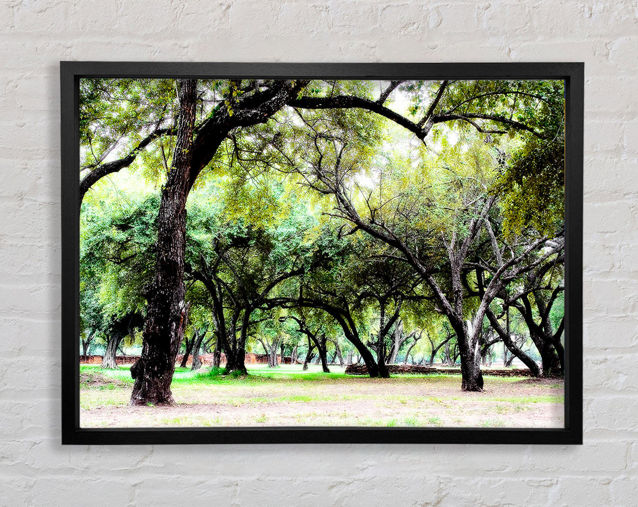 Ancient Woodland Trees Framed Wall Art