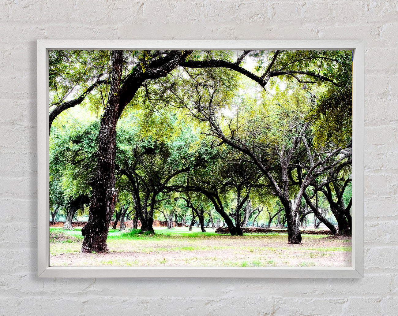 Ancient Woodland Trees Framed Wall Art