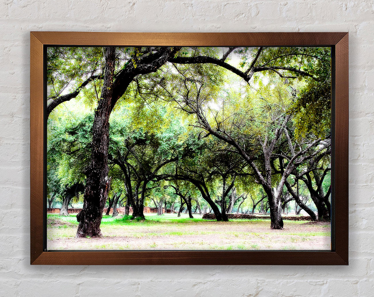 Ancient Woodland Trees Framed Wall Art
