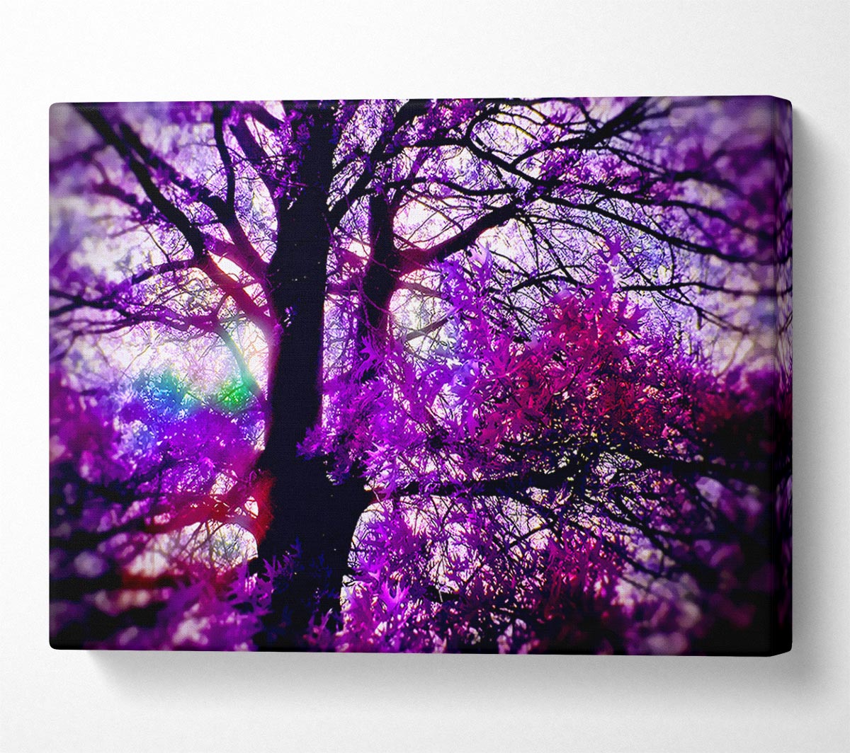 Psychedelic Tree Canvas Wall Art