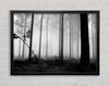 Black n White Woodland Mist Framed Wall Art