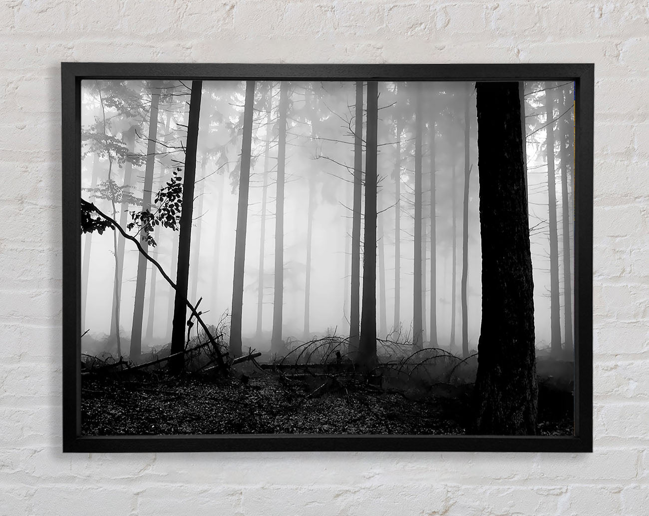 Black n White Woodland Mist Framed Wall Art