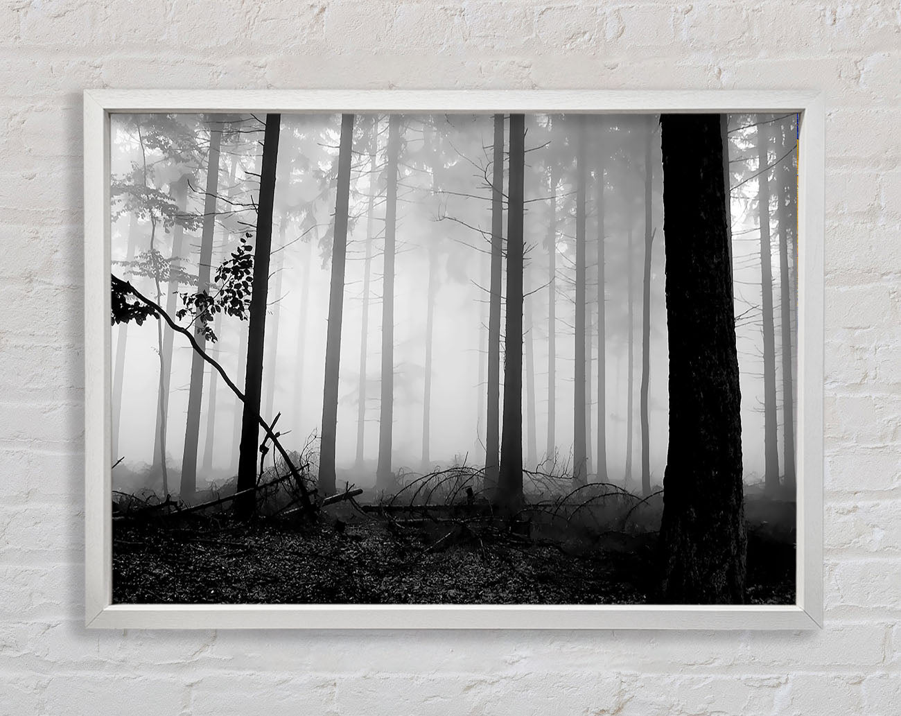 Black n White Woodland Mist Framed Wall Art