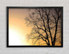 Calm Winter Sun Framed Wall Art