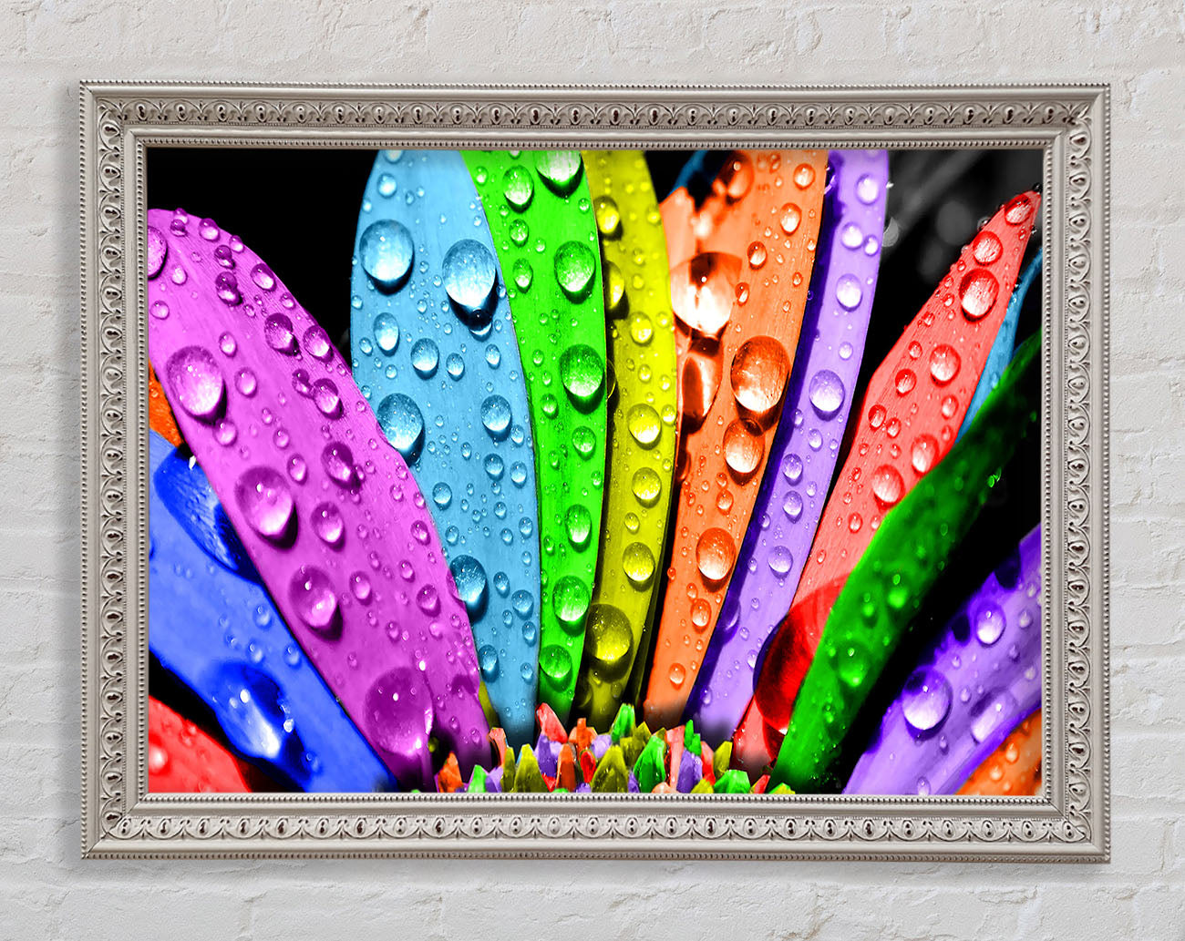 Colourful Flower Framed Wall Art