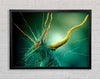 Bacteria Framed Wall Art