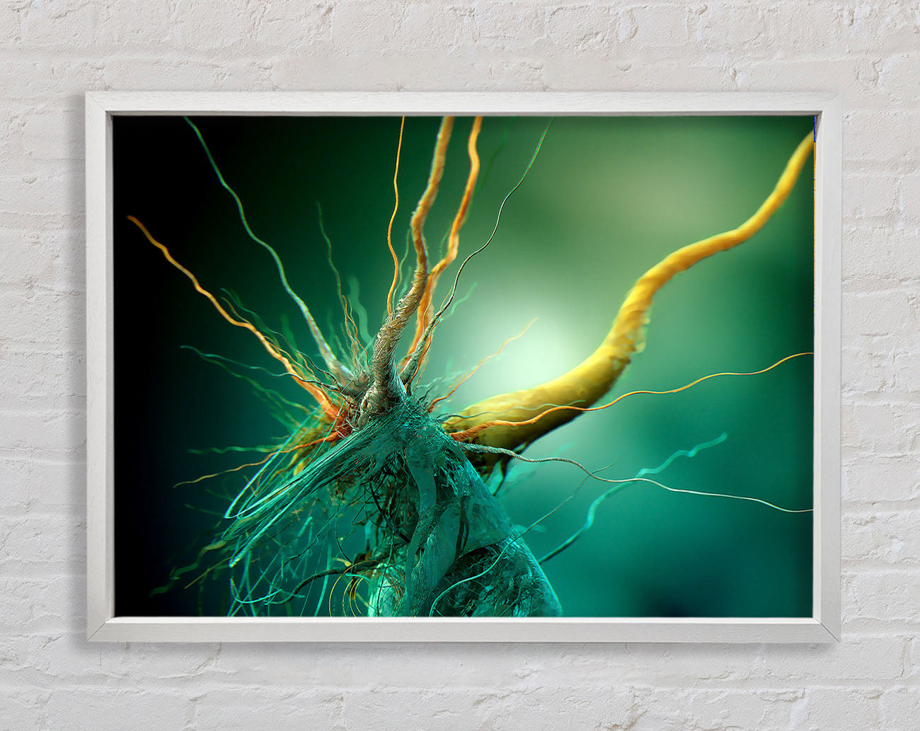 Bacteria Framed Wall Art