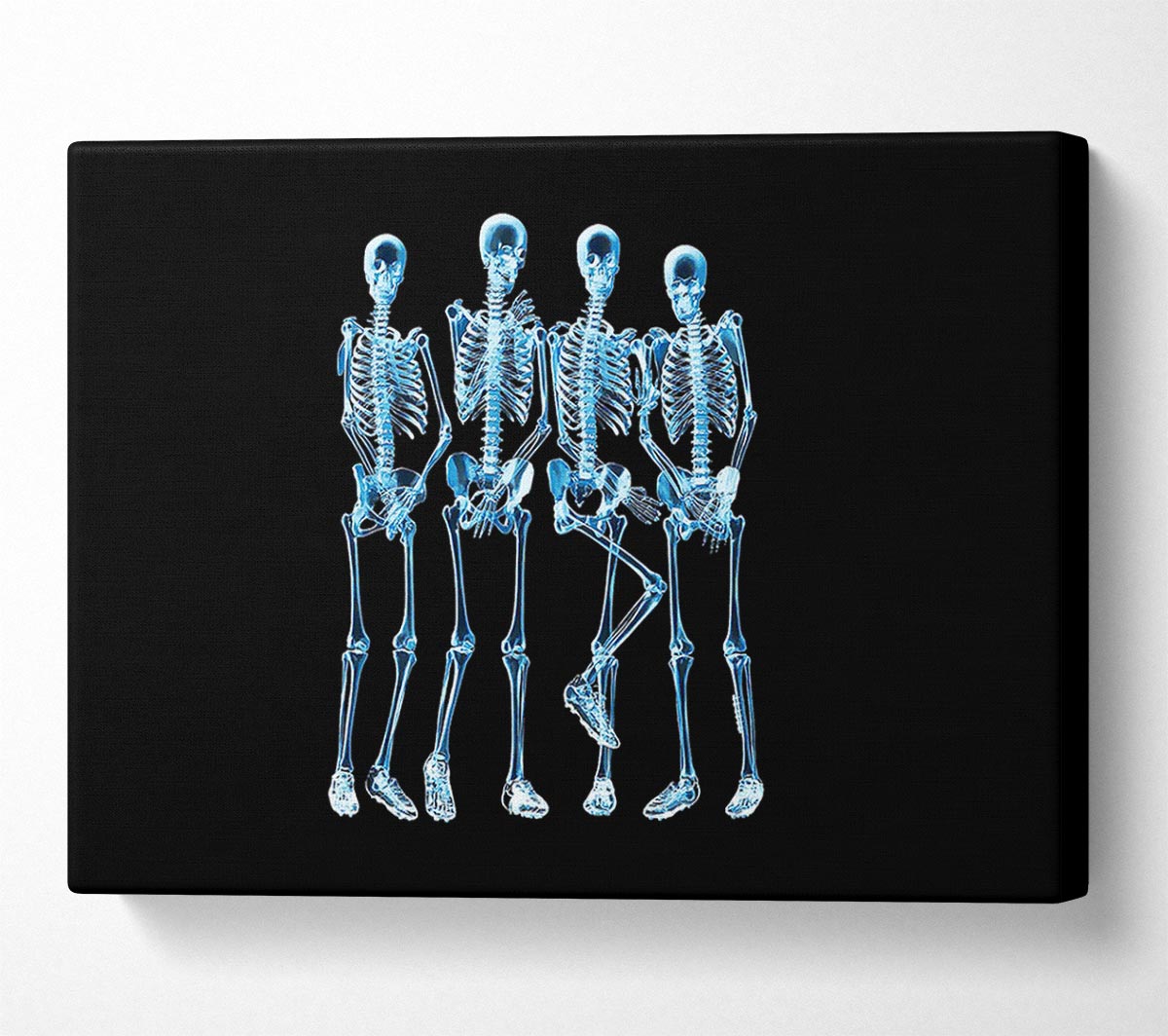 Funny Bones Canvas Wall Art