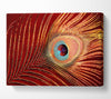Peacock Feather 06 Canvas Wall Art