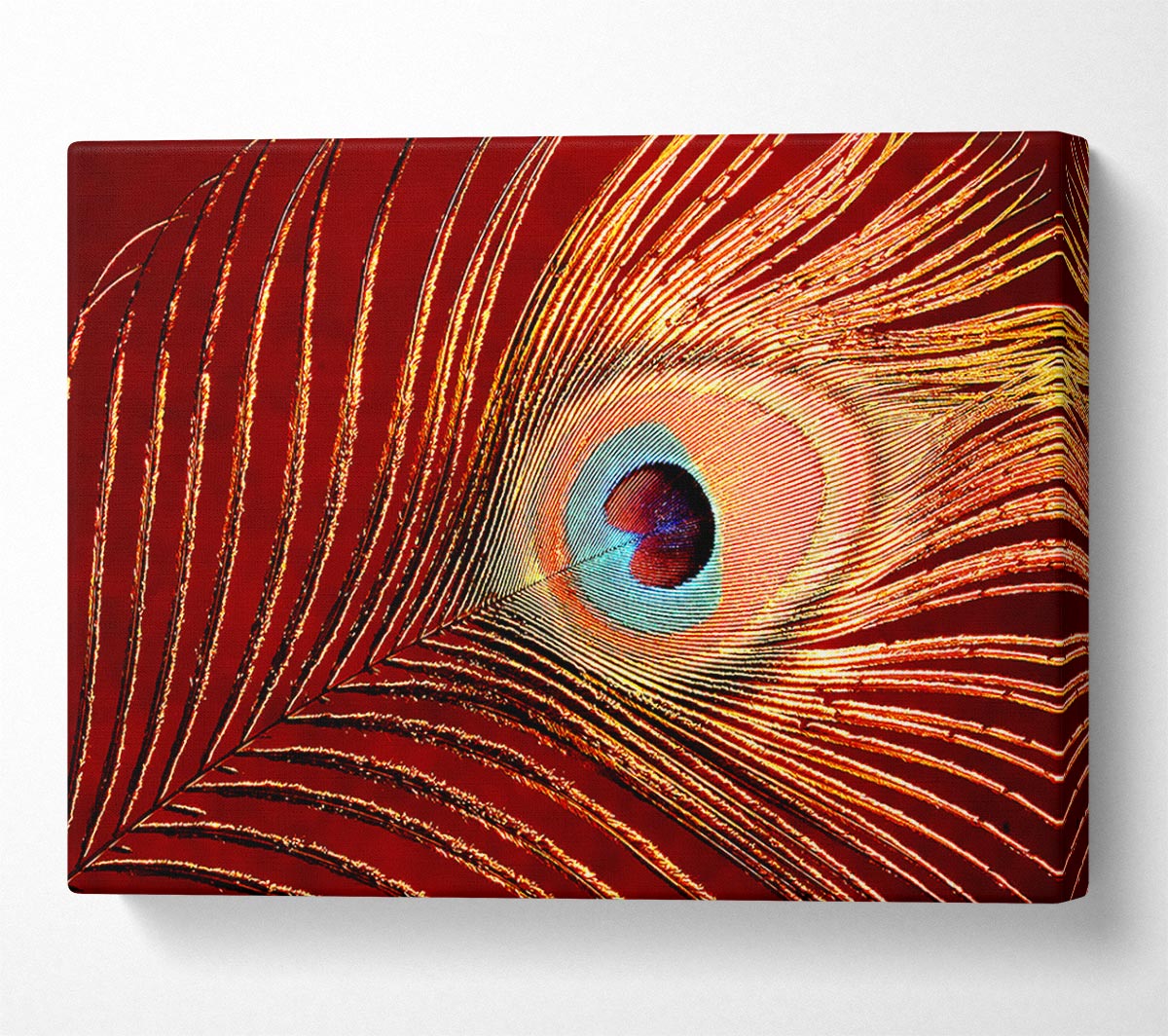 Peacock Feather 06 Canvas Wall Art