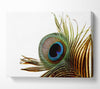 Peacock Feather Close-Up Canvas Wall Art
