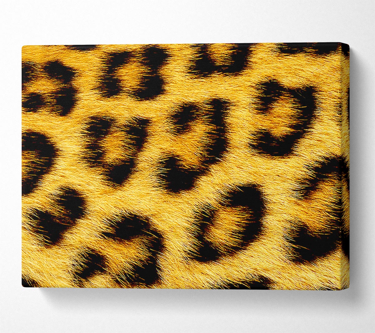 Leopard Print Canvas Wall Art