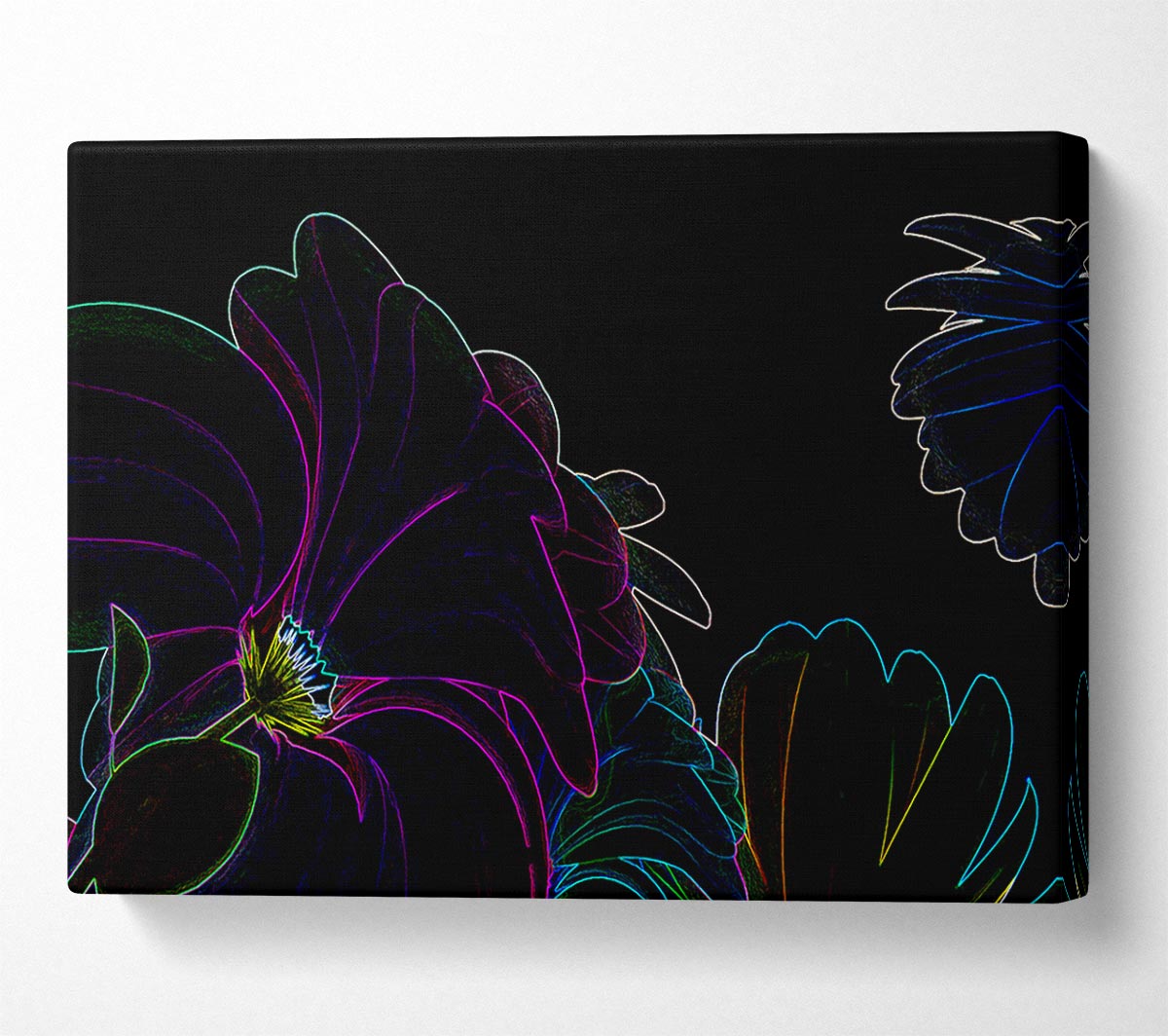Floral Decay Canvas Wall Art