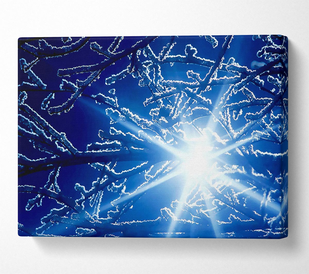 Winter Sun Rays Canvas Wall Art