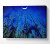 Forest By Moonlight Canvas Wall Art