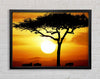 African Safari Tree In Sunlight Framed Wall Art