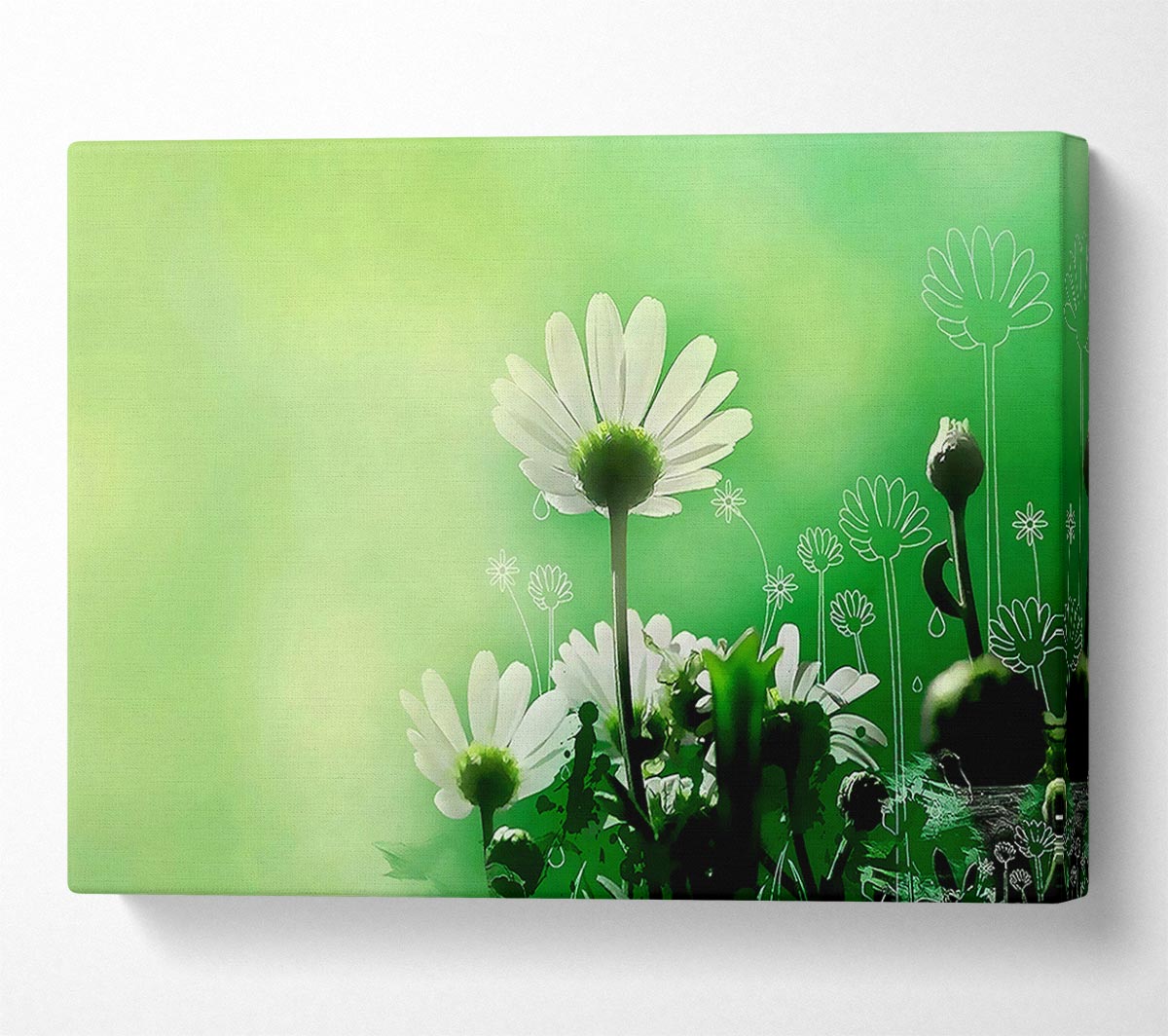 Green Daisy Garden Canvas Wall Art