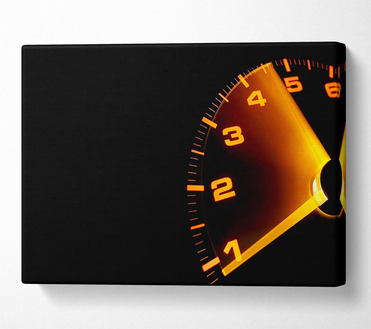Speedo Canvas Wall Art