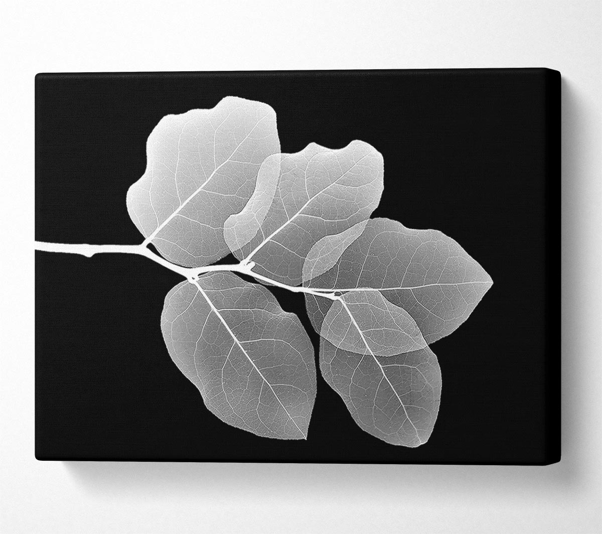 Winter Leaf Canvas Wall Art