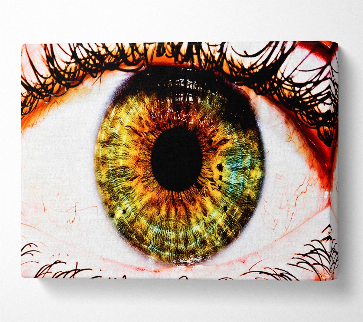Big Eye Canvas Wall Art