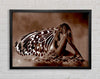 Chocolate Butterfly Landing Framed Wall Art