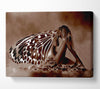 Chocolate Butterfly Landing Canvas Wall Art