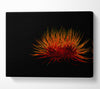 Red Thing Canvas Wall Art