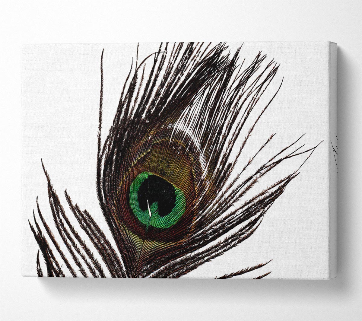 Peacock Eye Feather Canvas Wall Art