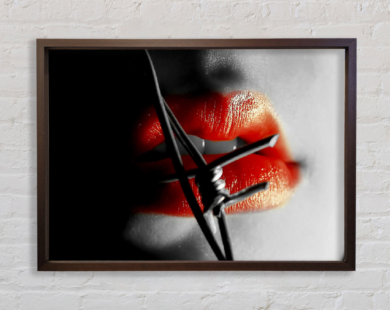 Barbed Wire Lips Framed Wall Art