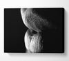 Sensual Lips B n W Canvas Wall Art