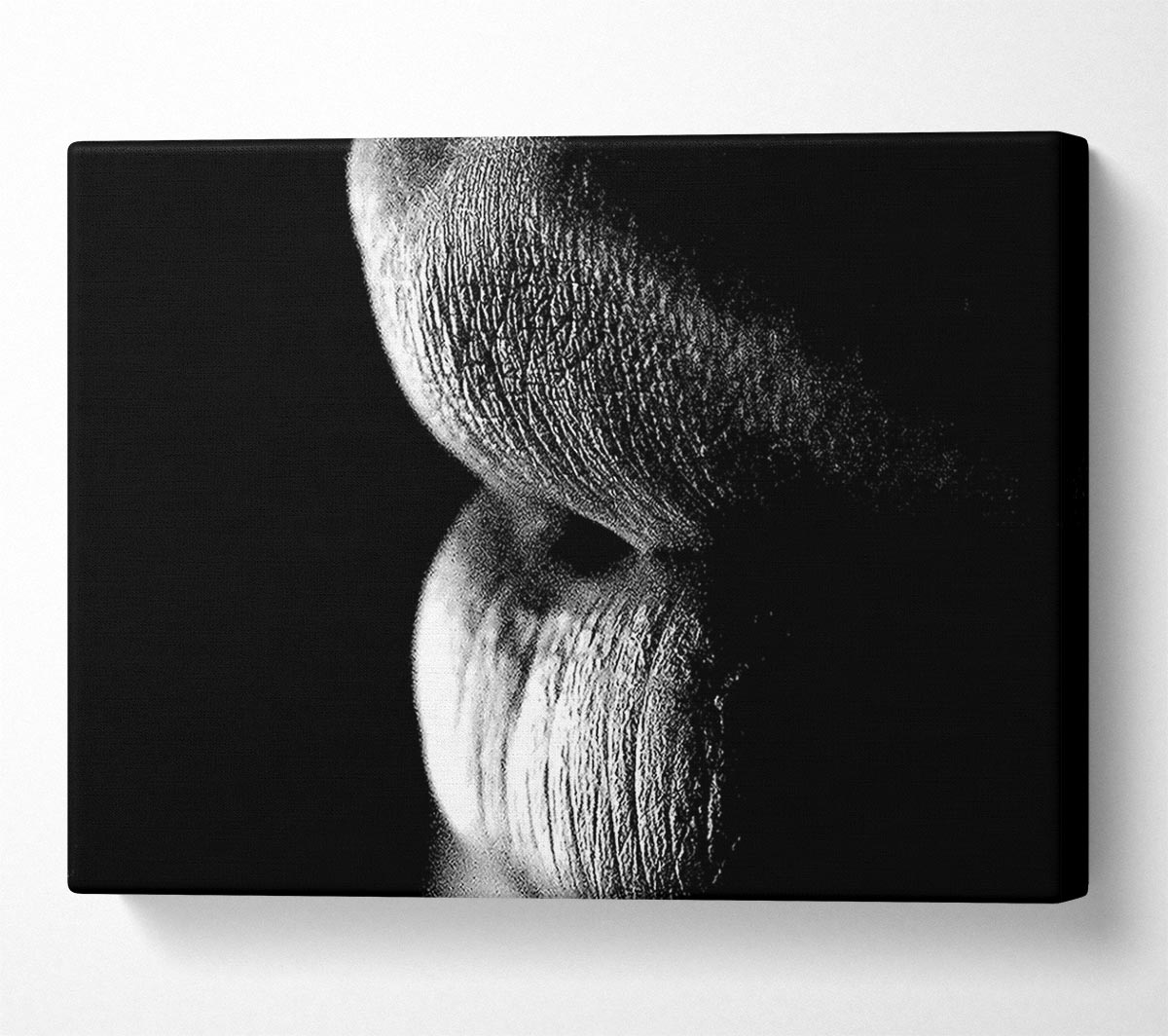 Sensual Lips B n W Canvas Wall Art