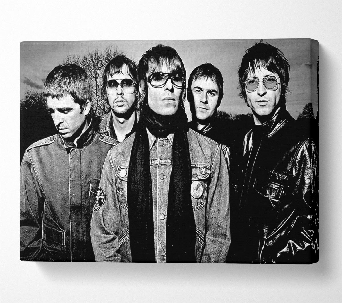 Oasis Black And White Scarf Canvas Wall Art