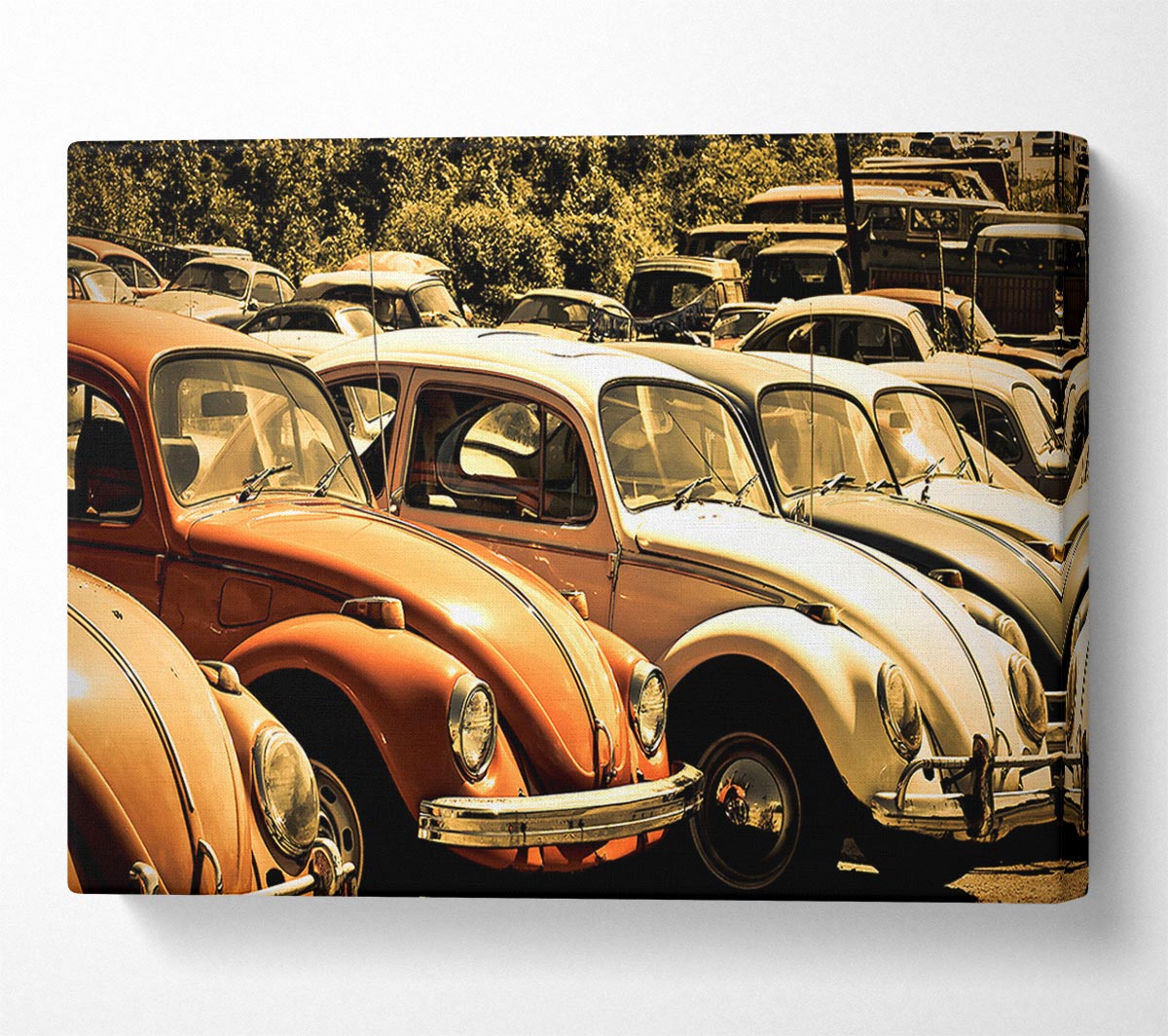 Old Volkswagen Beetle Junkyard Canvas Wall Art
