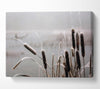 Frosted Cattails Canvas Wall Art