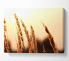 Yellow Sunset Canvas Wall Art