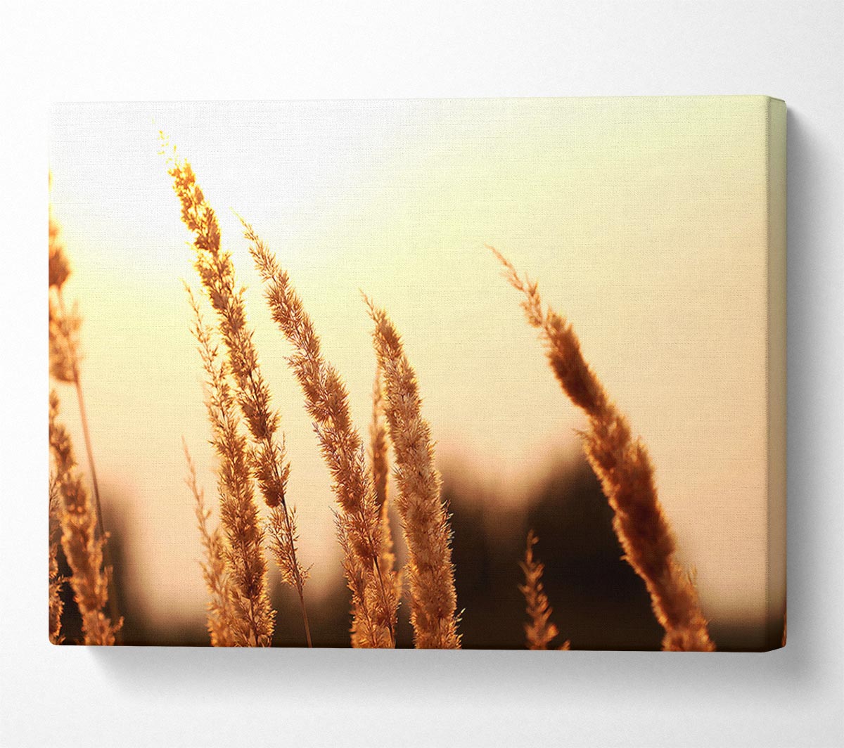 Yellow Sunset Canvas Wall Art