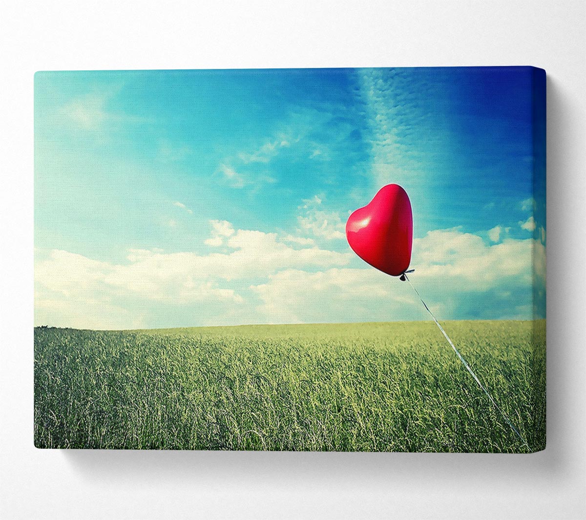 Alone Heart Flying Canvas Wall Art