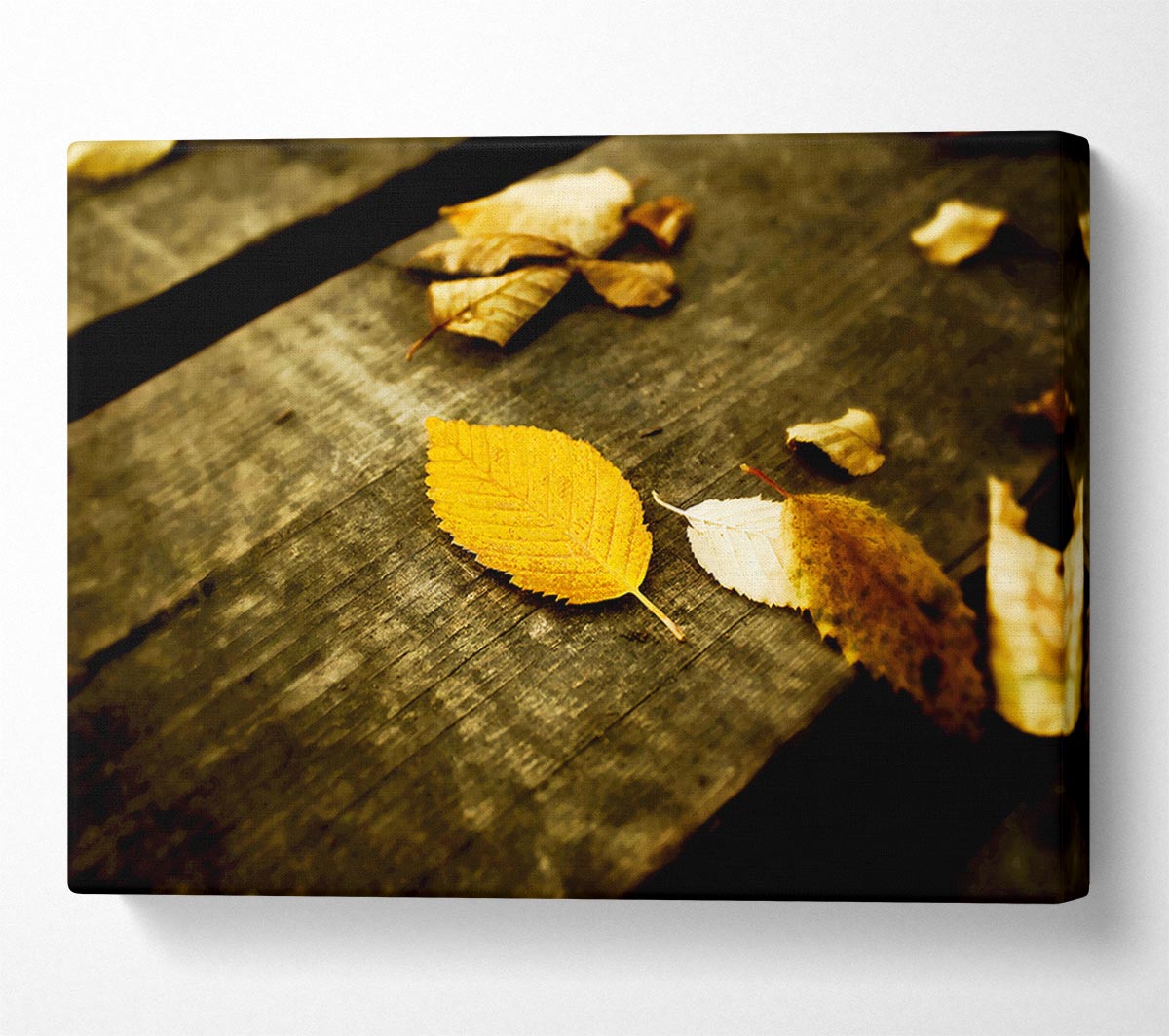 Autumn Leaves On The Deck Canvas Wall Art