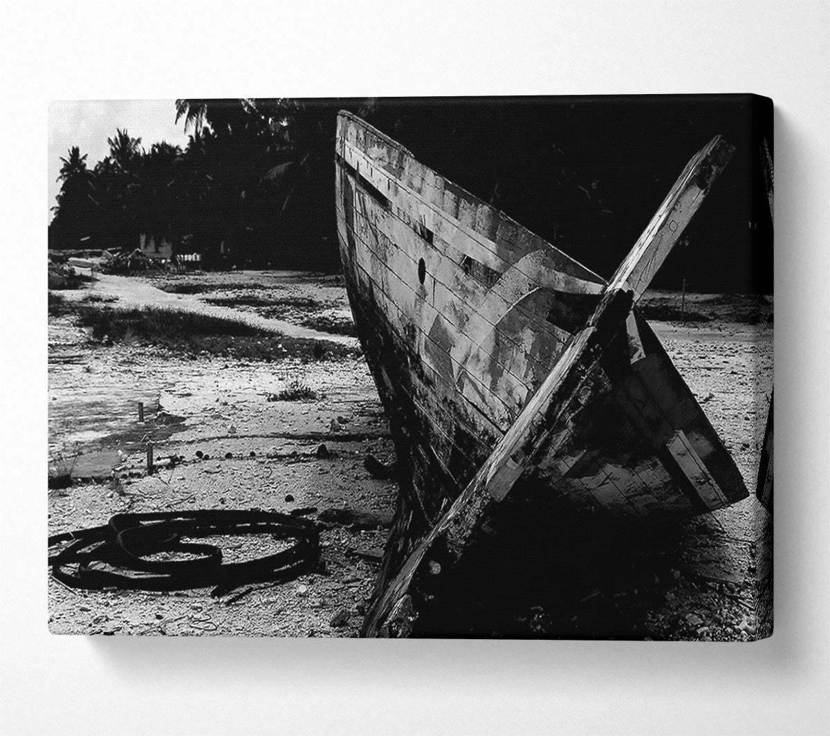 Wrecked Canvas Wall Art
