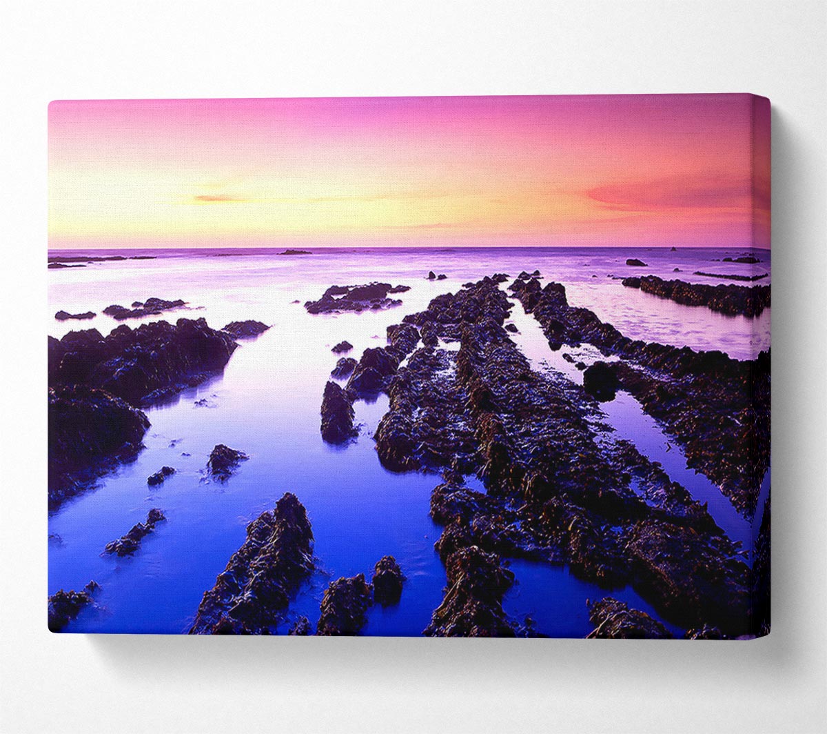 Fitzgerald Low Tide Canvas Wall Art