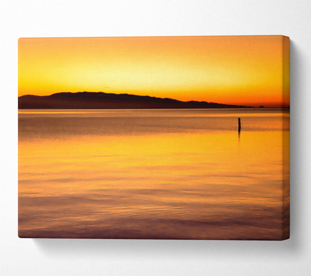Dont Feel Lonely Canvas Wall Art