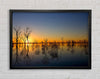 Beautiful Reflections Of The Winter Trees Framed Wall Art