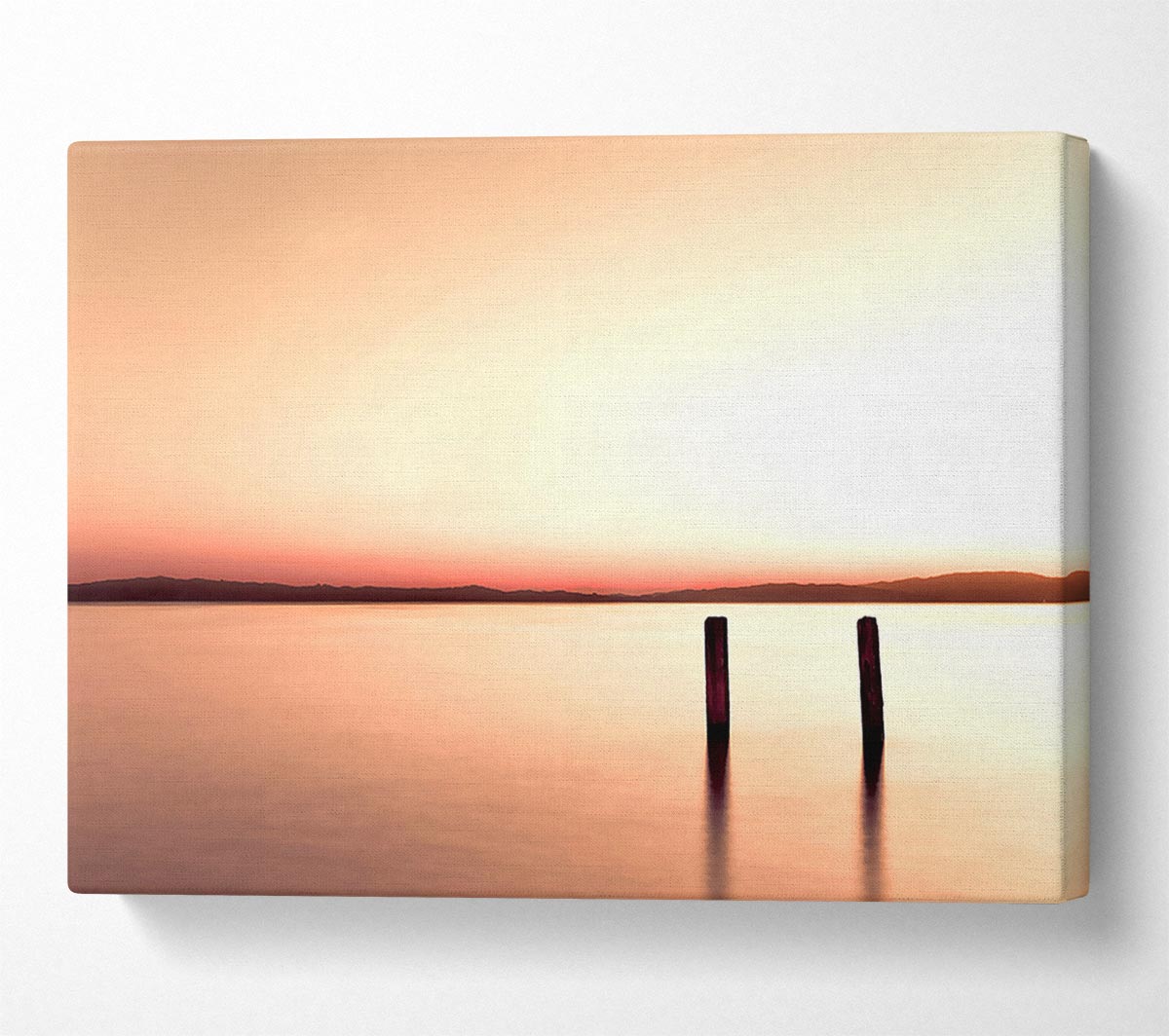 Love At First Sight Peach Canvas Wall Art